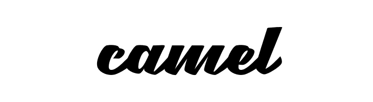 Brotha Script  Free Fonts Download