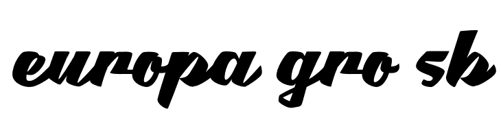 Brotha Script  Free Fonts Download