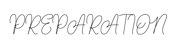 AndienNidyaDemo-Script  Free Fonts Download