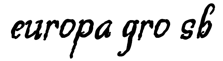 Beegal Italic Demo  Free Fonts Download