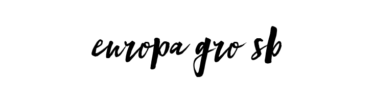 Mind Rush  Free Fonts Download