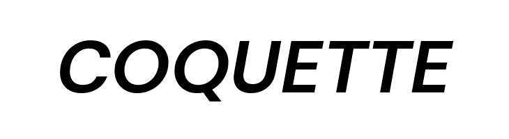 DM Sans Bold Italic  Free Fonts Download