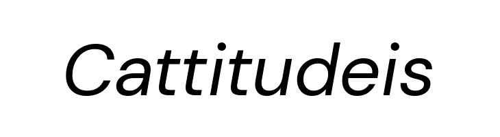 DM Sans Italic  Free Fonts Download