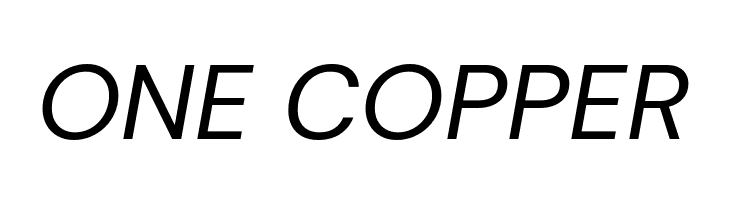 DM Sans Italic  Free Fonts Download