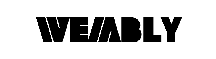 SF Fortune Wheel Bold  Free Fonts Download