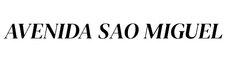 DM Serif Display Italic  Free Fonts Download