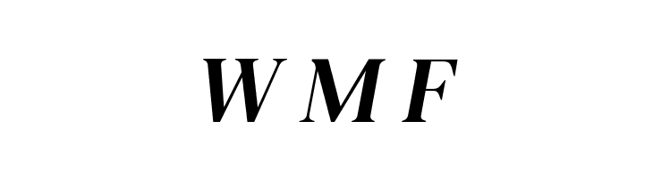 DM Serif Display Italic  Free Fonts Download