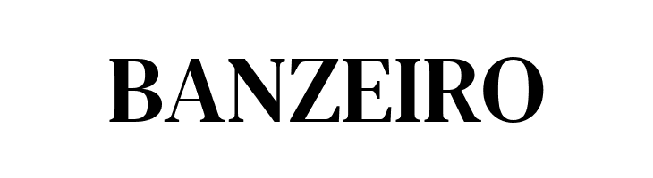 DM Serif Text Regular  Free Fonts Download