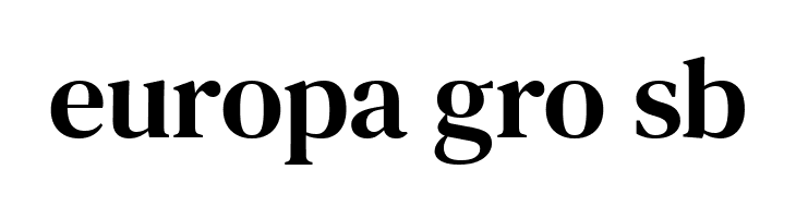 DM Serif Text Regular  Free Fonts Download