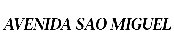 DM Serif Text Italic  Free Fonts Download