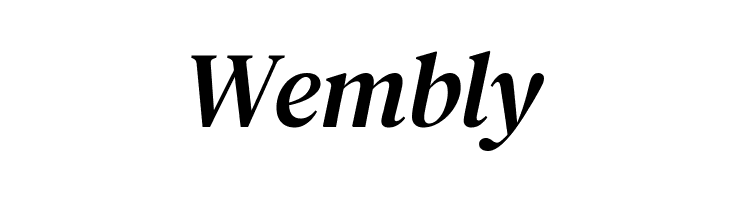 DM Serif Text Italic  Free Fonts Download