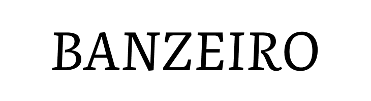 Literata Italic  Free Fonts Download