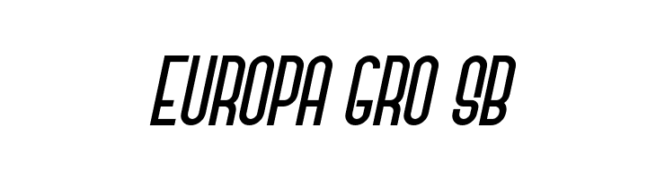 Never Forget  Free Fonts Download