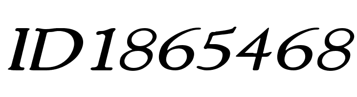 NewStyleWide Italic  Free Fonts Download