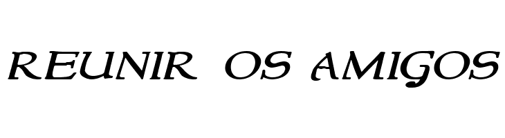 NewStyleWide Italic  Free Fonts Download