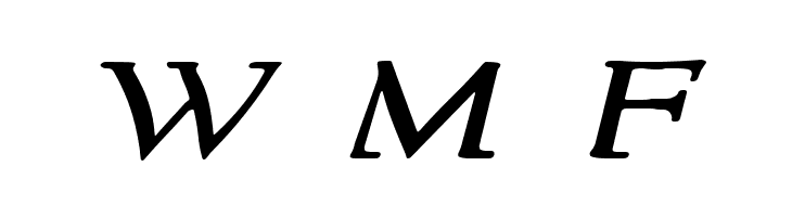 NewStyleWide Italic  Free Fonts Download