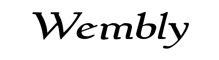 NewStyleWide Italic  Free Fonts Download