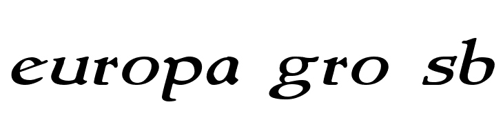NewStyleWide Italic  Free Fonts Download