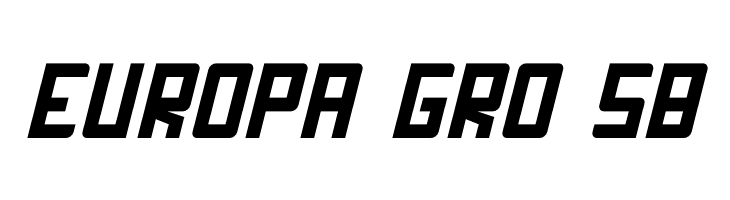 FORNEVER Italic  Free Fonts Download