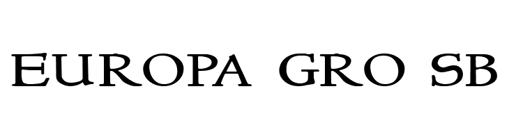 NewStyleSmallCaps  Free Fonts Download