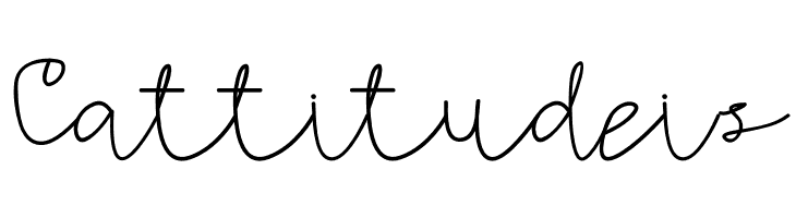 AMORICA SCRIPT  Free Fonts Download