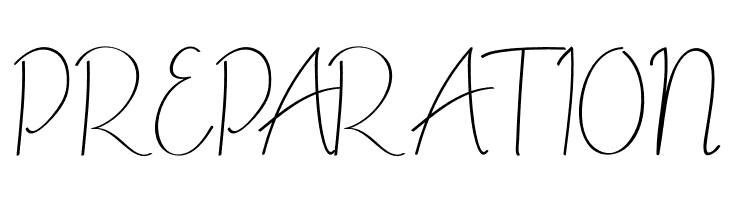 ALDITH Script  Free Fonts Download