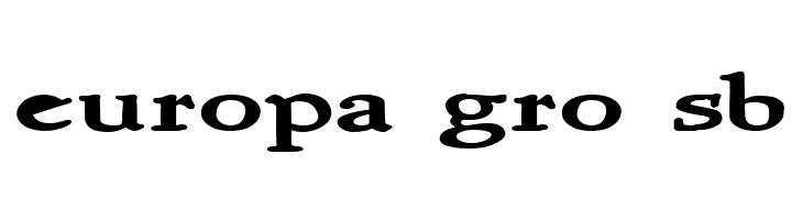 NewStyleWide Bold  Free Fonts Download