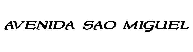 NewStyleWide Bold Italic  Free Fonts Download