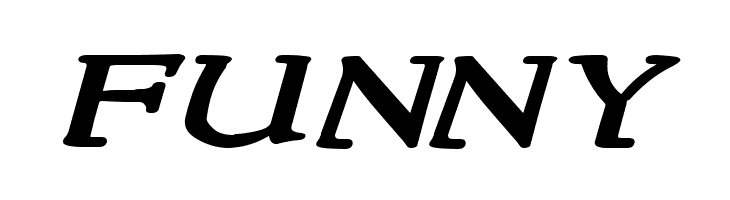 NewStyleWide Bold Italic  Free Fonts Download