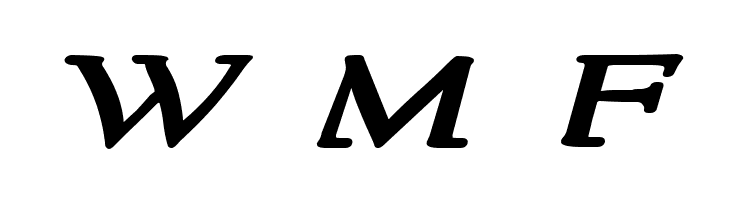 NewStyleWide Bold Italic  Free Fonts Download