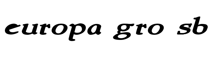 NewStyleWide Bold Italic  Free Fonts Download