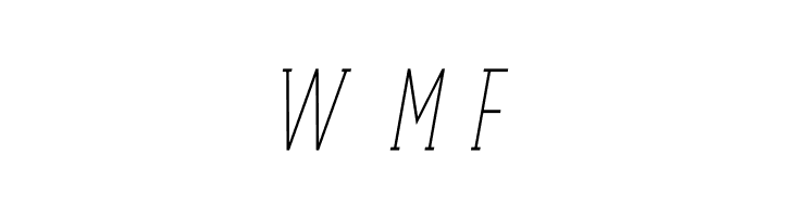 Terry Bruce Italic  Free Fonts Download