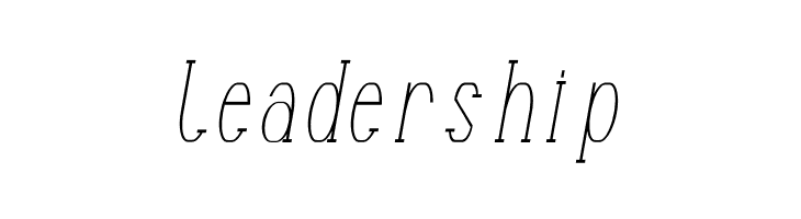 Terry Bruce Italic  Free Fonts Download