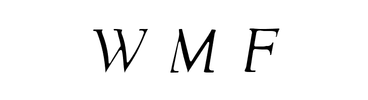 NewStyleLight Italic  Free Fonts Download