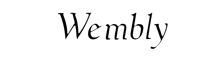 NewStyleLight Italic  Free Fonts Download