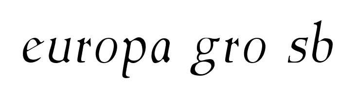 NewStyleLight Italic  Free Fonts Download