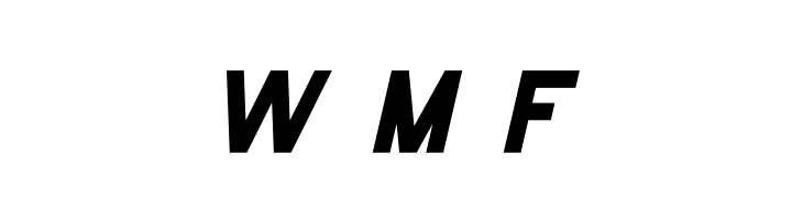 THE CHAMP Italic  Free Fonts Download
