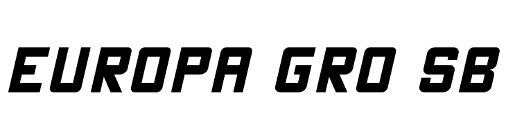 THE CHAMP Italic  Free Fonts Download