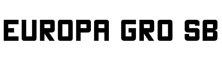 THE CHAMP  Free Fonts Download