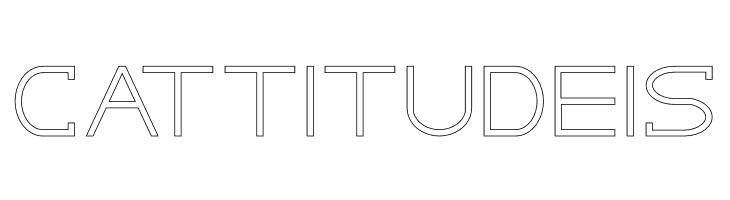 GRACETIANS Stroke  Free Fonts Download