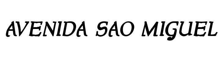 NewStyle Bold Italic  Free Fonts Download