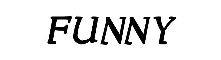 NewStyle Bold Italic  Free Fonts Download