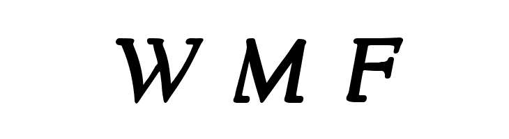 NewStyle Bold Italic  Free Fonts Download