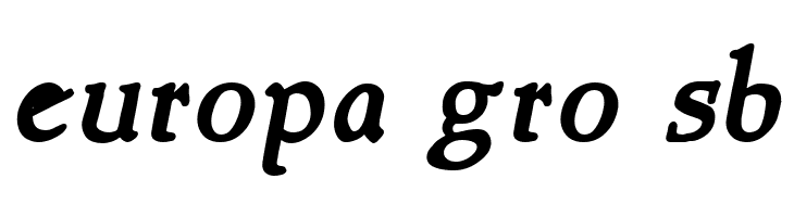 NewStyle Bold Italic  Free Fonts Download