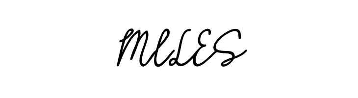 HASTON Script  Free Fonts Download