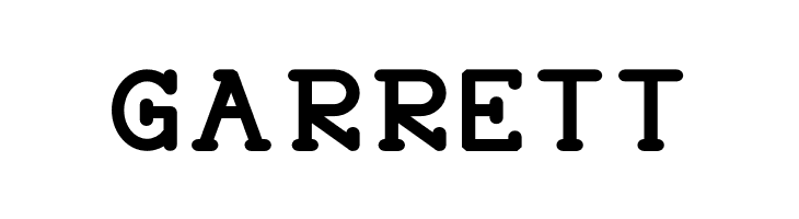 HASTON Bold  Free Fonts Download