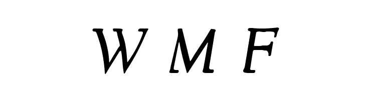 NewStyle Italic  Free Fonts Download