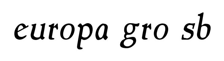 NewStyle Italic  Free Fonts Download