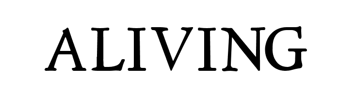 NewStyle  Free Fonts Download