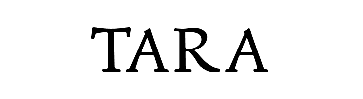 NewStyle  Free Fonts Download